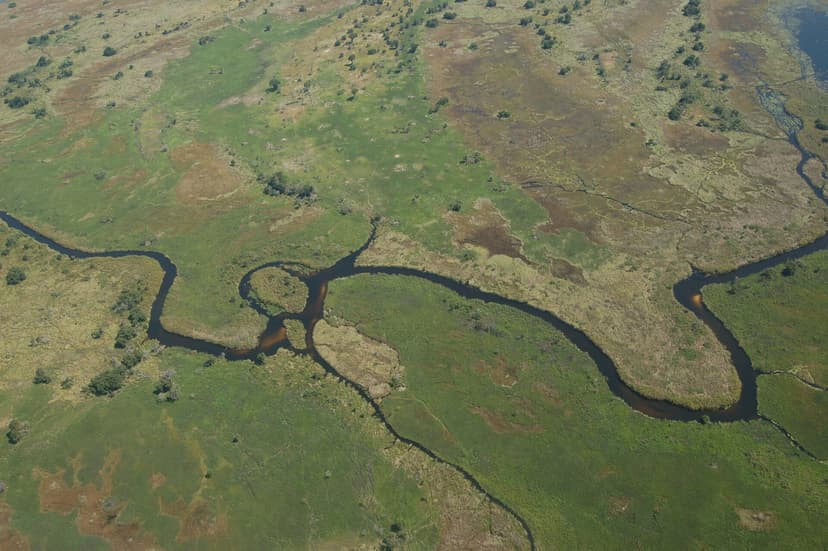 Aerial view of the Okavango Delta channels