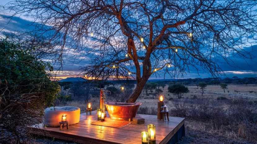 Candlelit safari dinner set under the stars