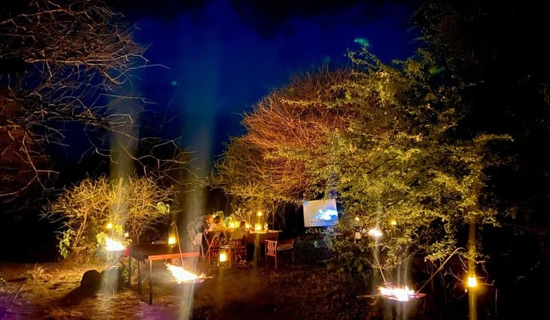 Bush dining at Sabi Sands lodge