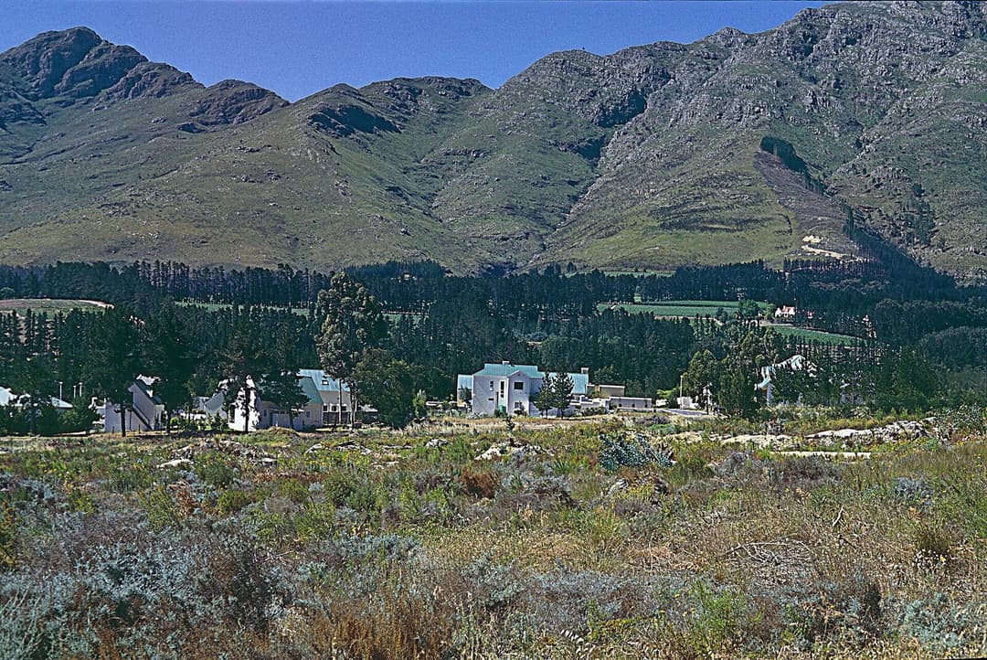 Cape Winelands Private Tour to Stellenbosch and Franschhoek — Cape Town