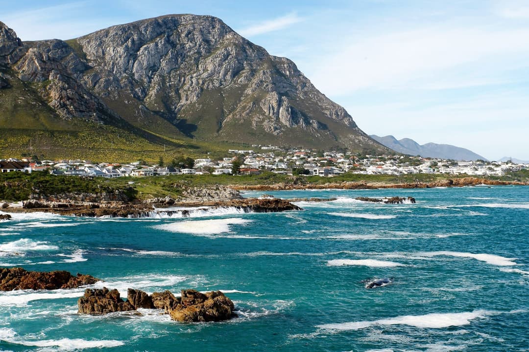 Hermanus Whale Watching Boat Trip & Private Wine Tour — Cape Town