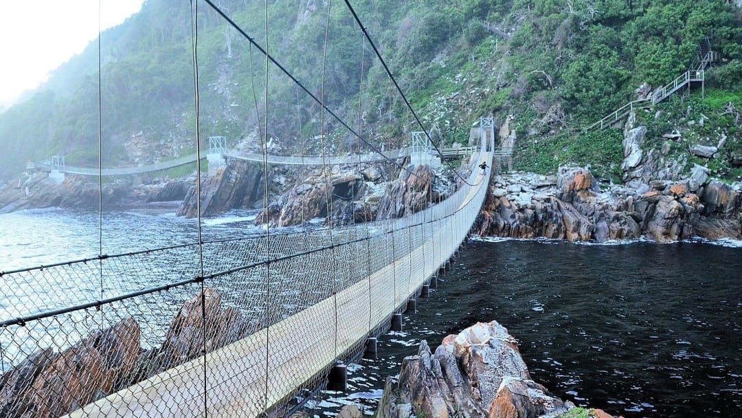 2-Day Garden Route Adventure — Bungee Jump, Zipline & Shark Cage Diving — Cape Town