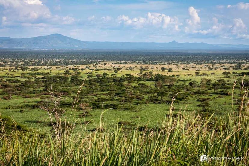 Murchison Falls Explorer — 4 Days — photo 1
