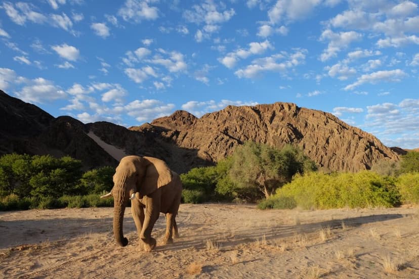 Damaraland red-rock wilderness, Namibia