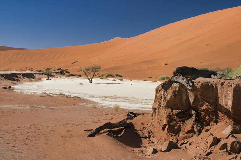 Sossusvlei red dunes at sunrise on a Namibia safari