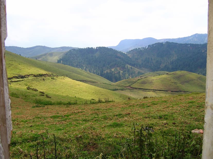 Gishwati hills