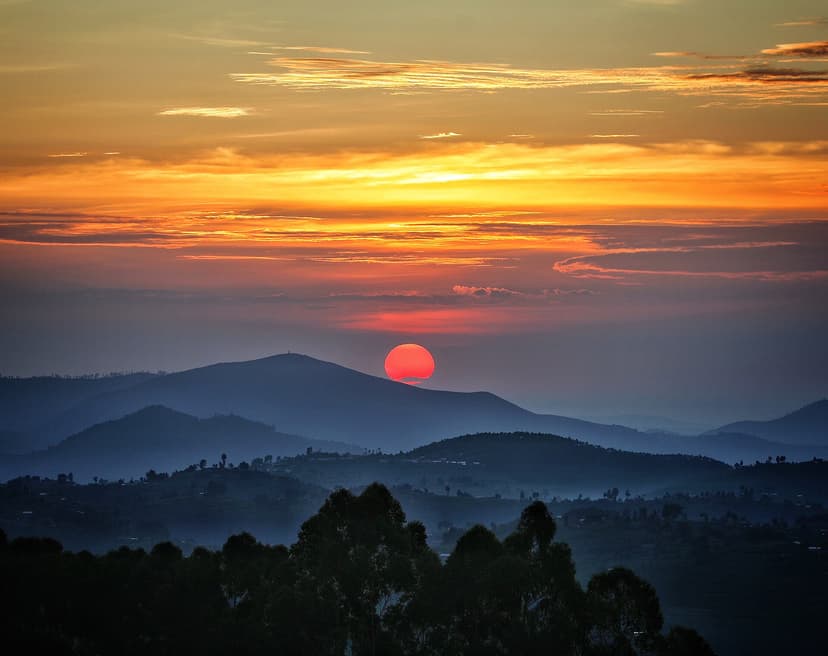 Nyungwe Forest at sunrise