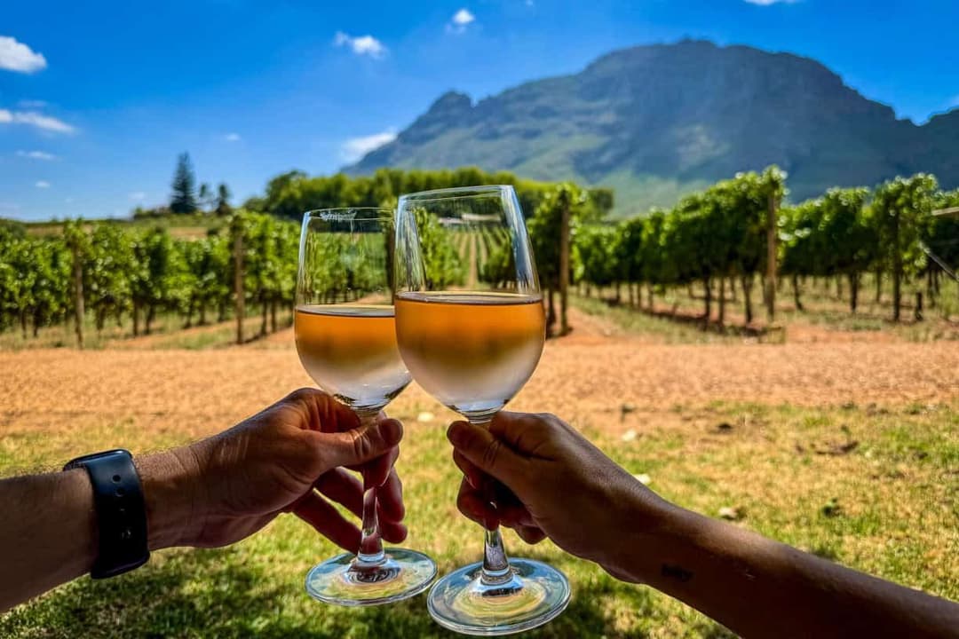 Cape Winelands Luxury Wine Tour — Cape Winelands