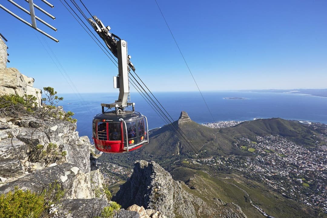 Table Mountain, Penguins & Cape Point Full-Day Tour — Cape Peninsula