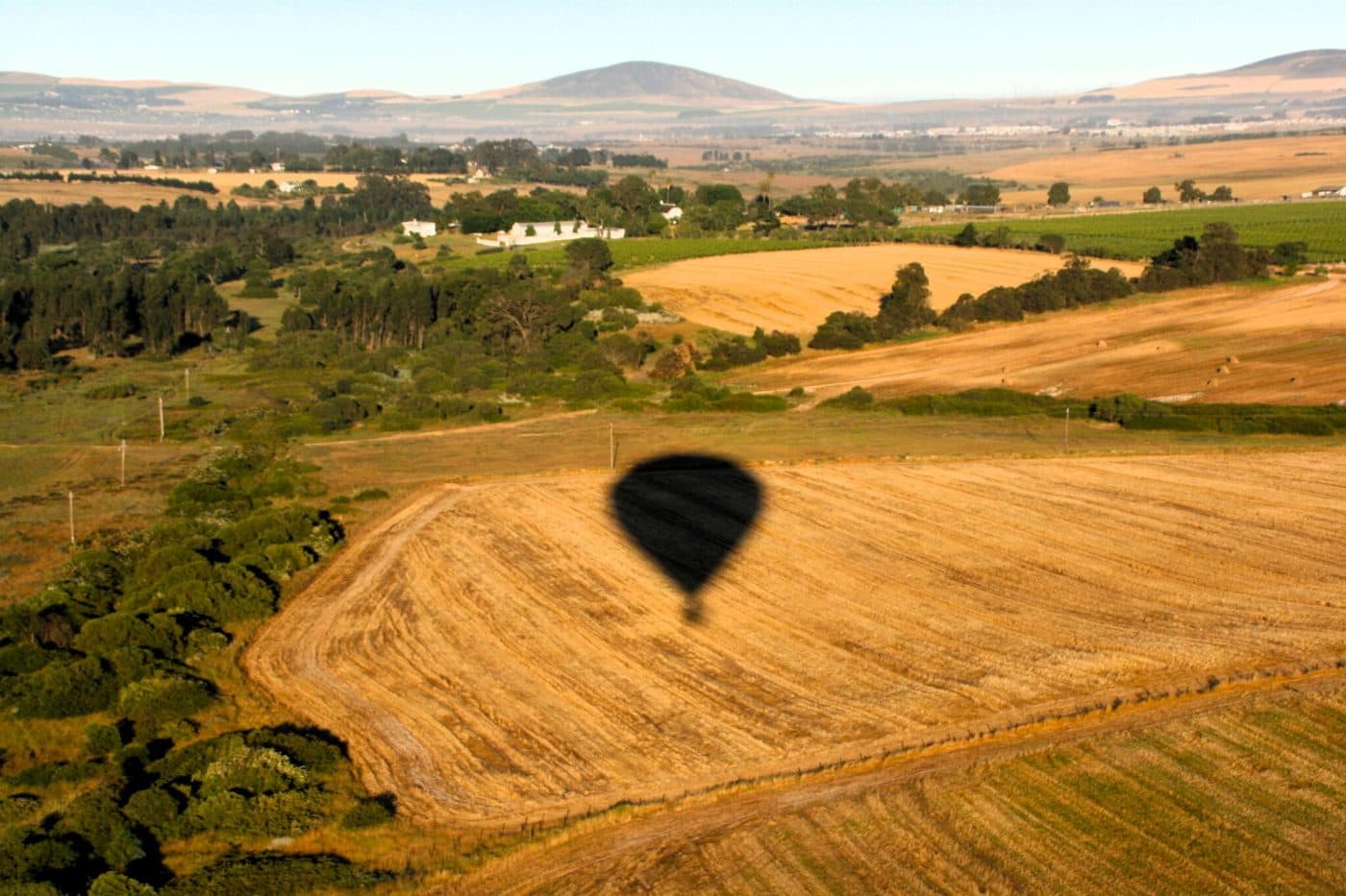 Hot Air Balloon Flight Over Vineyards in Cape Winelands