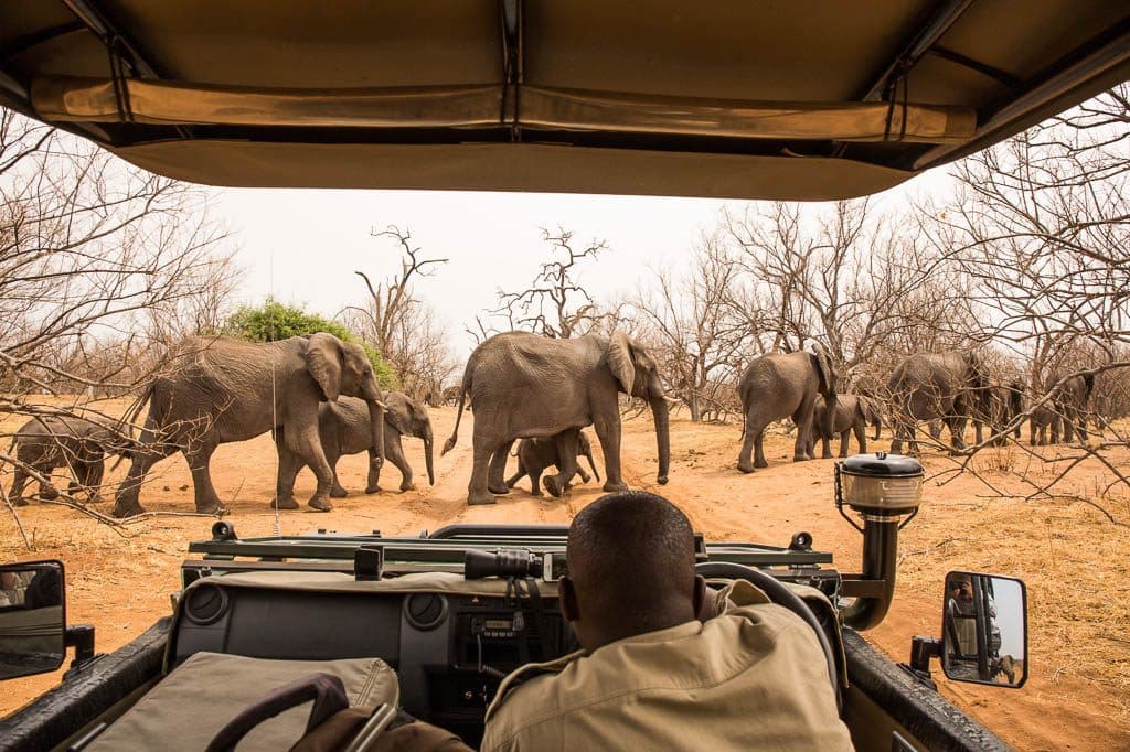 4x4 Game Drives in Chobe National Park in Chobe National Park, Botswana