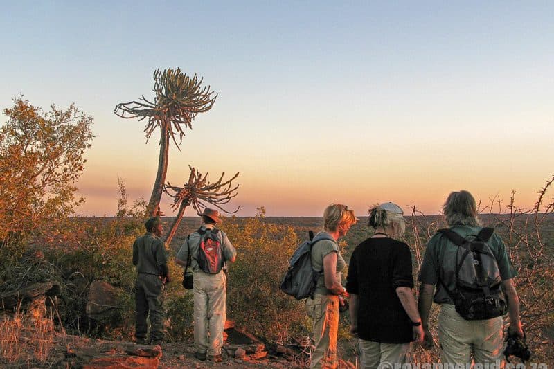 3-Day Guided Wilderness Trails in Kruger National Park