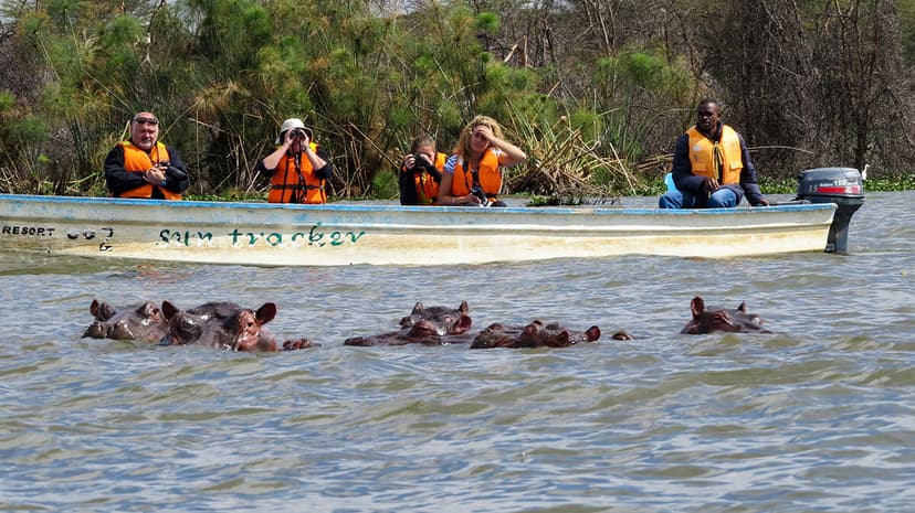 A boat safari among hippos on freshwater Lake Naivasha