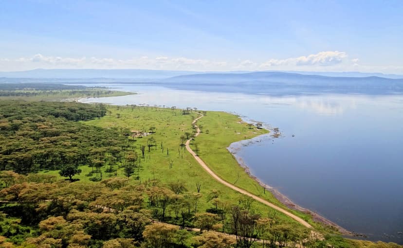 A white rhino grazing in the grasslands of Lake Nakuru