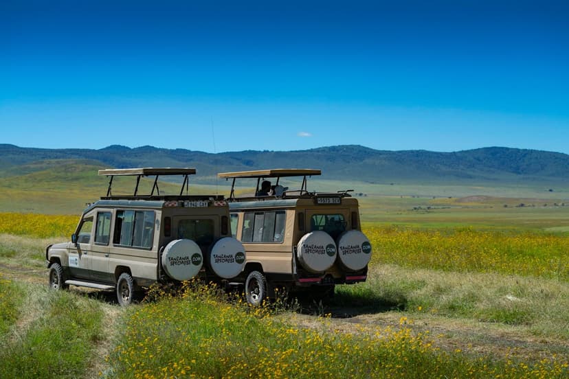 Ngorongoro crater floor
