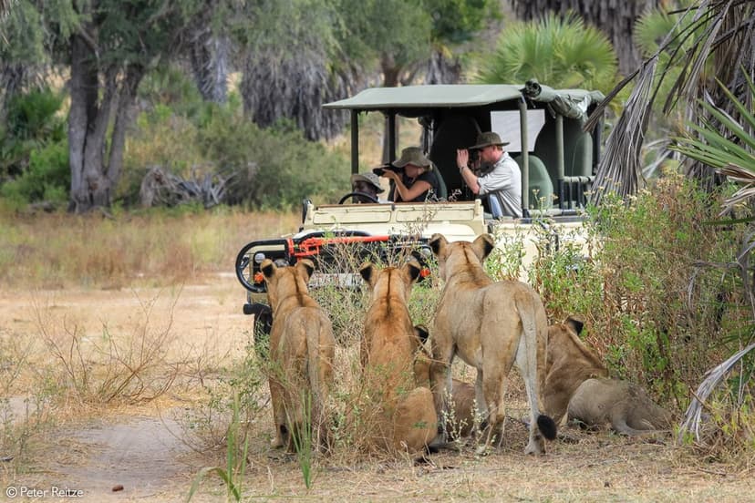 Game drive in Nyerere