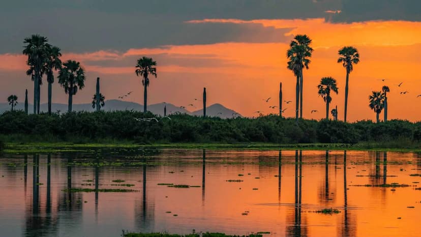 Rufiji sunset
