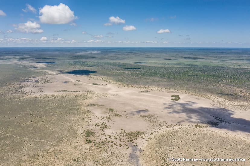 Central Kalahari & Deception Valley safari experience