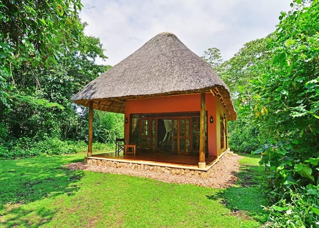 Day 1 - Arrival at Kibale Forest