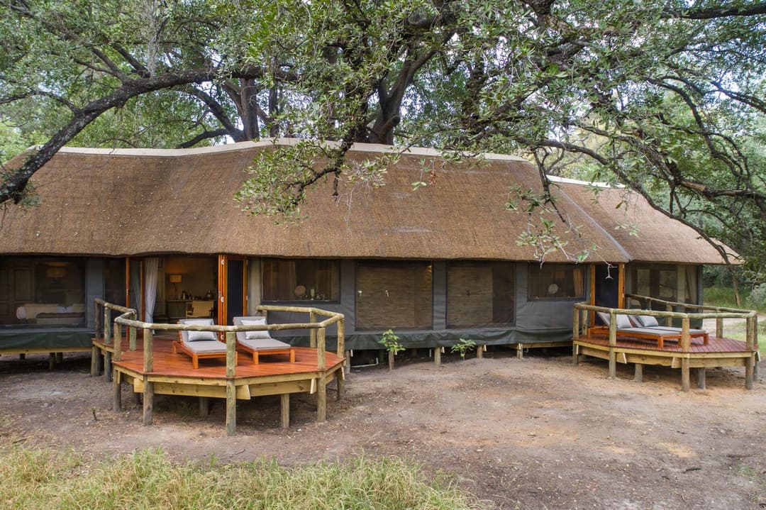 Day 1 - Fly into Moremi