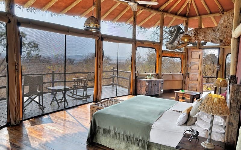 Treehouse safari lodge