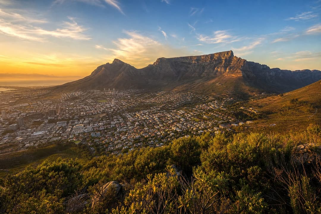 2-Day Cape Town Big 6 Tour — Cape Town