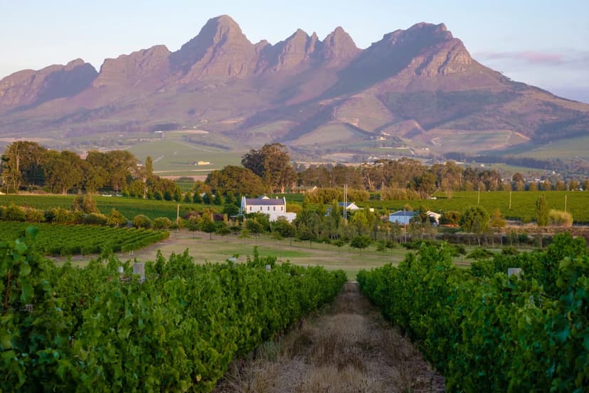 Cape Winelands & Coast - Cape Town, Cape Winelands