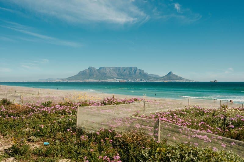 Day 1 - Arrive Cape Town
