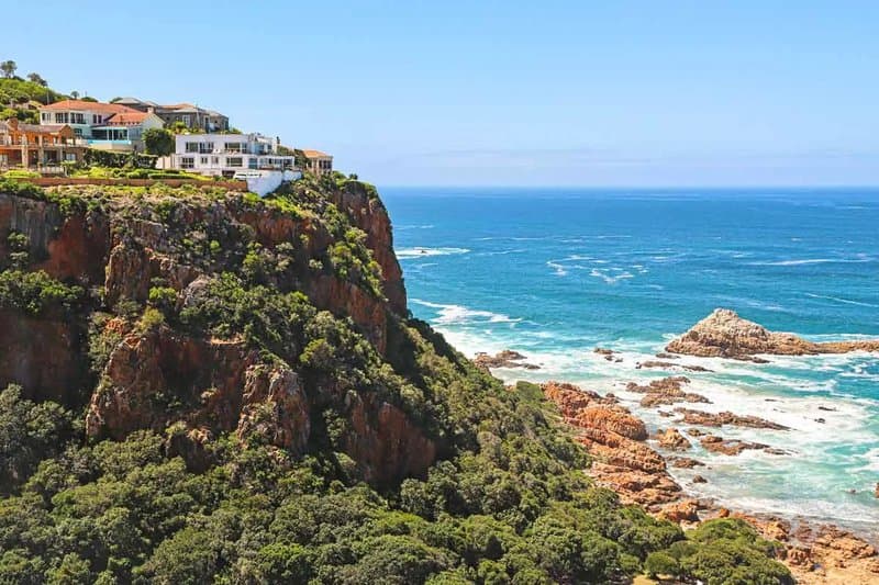 Garden Route Highlights — Private guided safari moment
