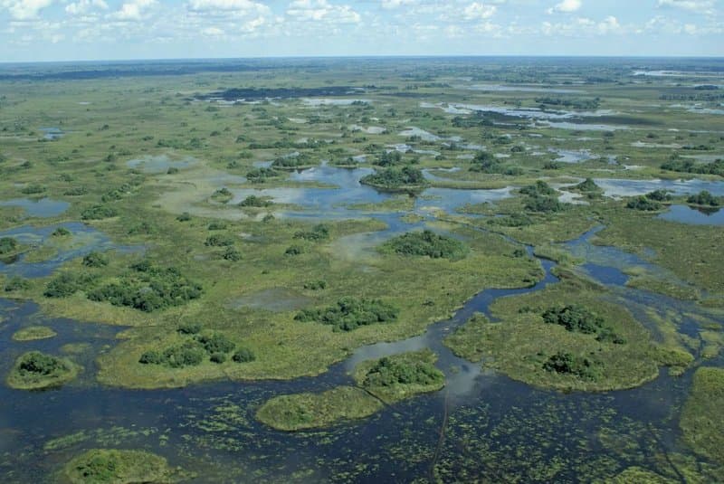 Okavango Delta Adventure — Private guided safari moment