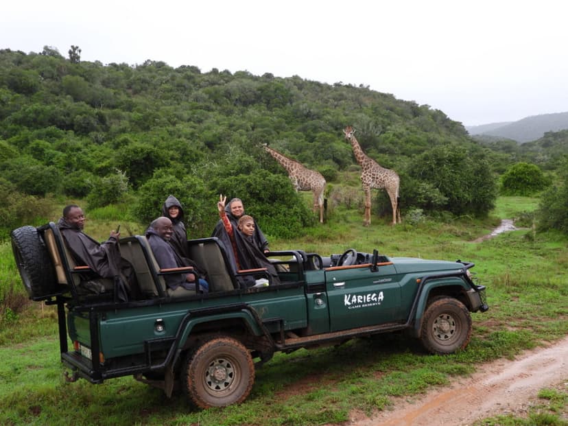 Guests on an open safari vehicle watching giraffes at Kariega Game Reserve in the Eastern Cape