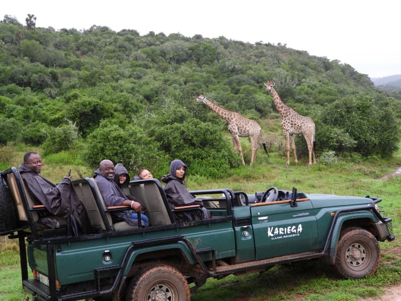 Family on an open safari vehicle watching giraffes in the malaria-free Eastern Cape