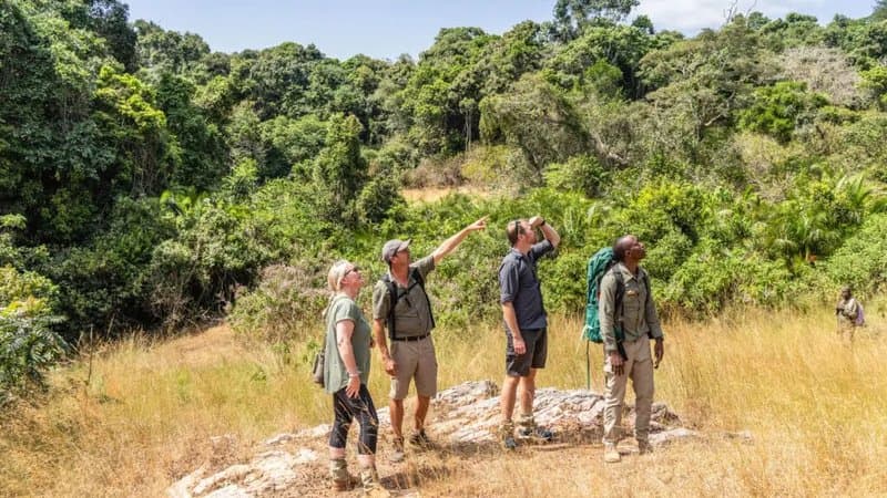 Walking safari Okavango Delta