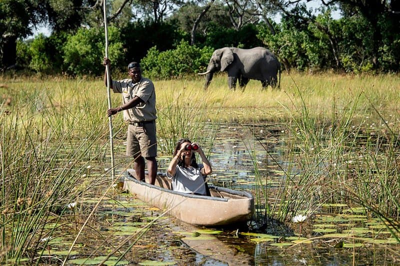 Water safari in Okavango Delta