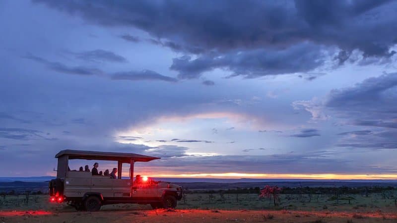 Bwindi & Queen Elizabeth — Game drive