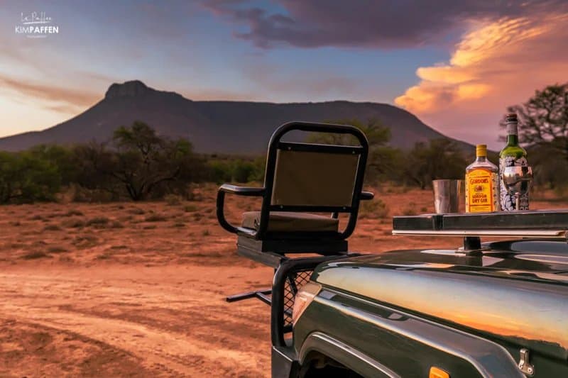 Serengeti Plains Adventure — Private guided safari moment