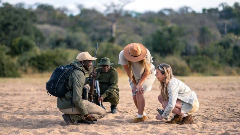 Guided walking safari with armed ranger in Greater Kruger