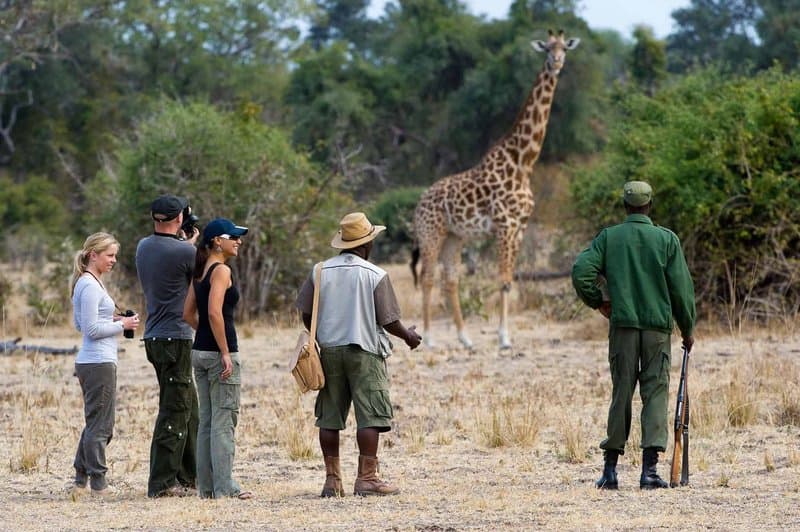 Walking safari with an armed ranger in the Sabi Sand