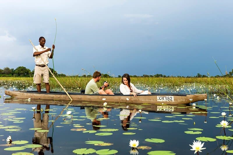Okavango Delta Adventure — Private guided safari moment