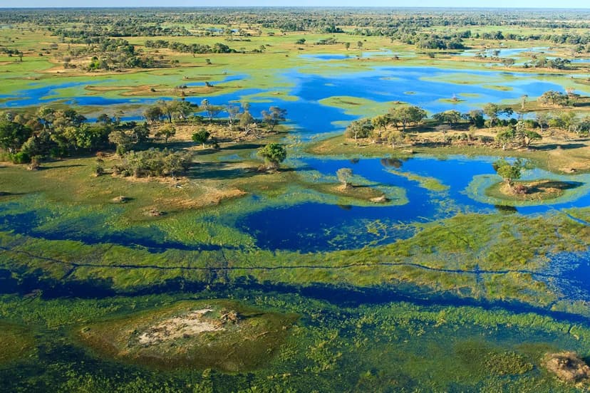 Ultimate Okavango Honeymoon — Private guided safari moment