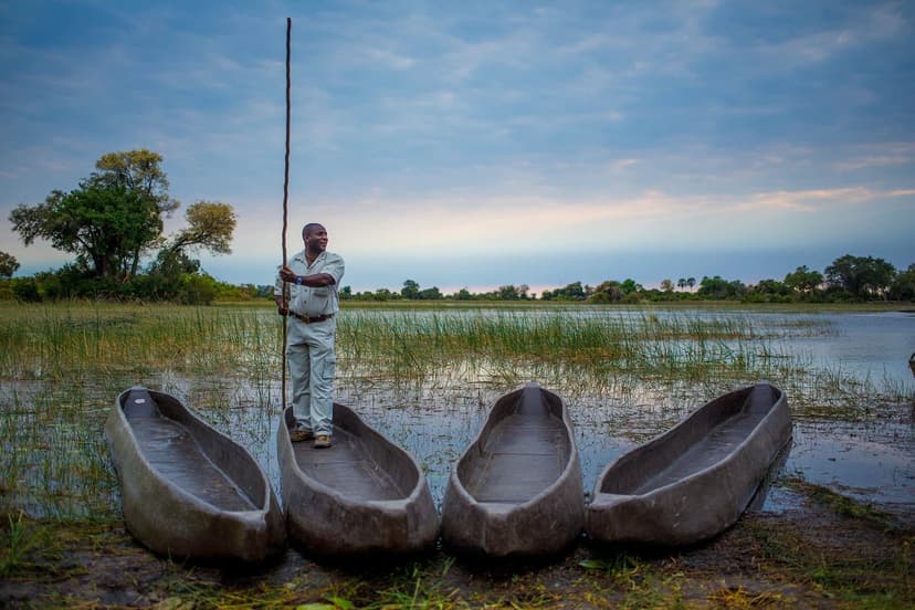 Sunset boat cruise on the Zambezi River