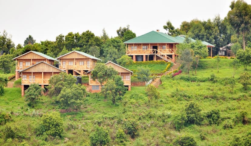 Gorilla Tracking Adventure — Forest-edge lodge