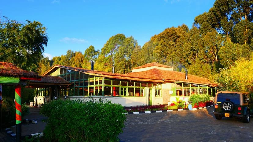 Gorilla Trekking Experience — Volcano-view lodge