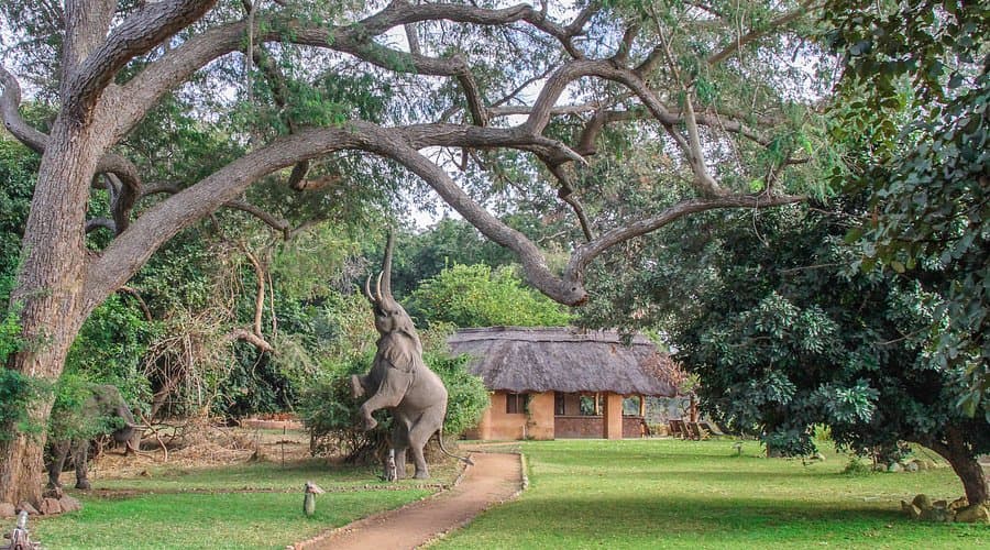 Day 1 - Arrive South Luangwa