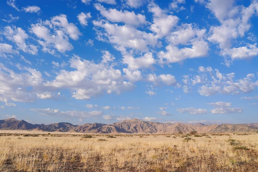 Namib desert plains under a wide clear sky