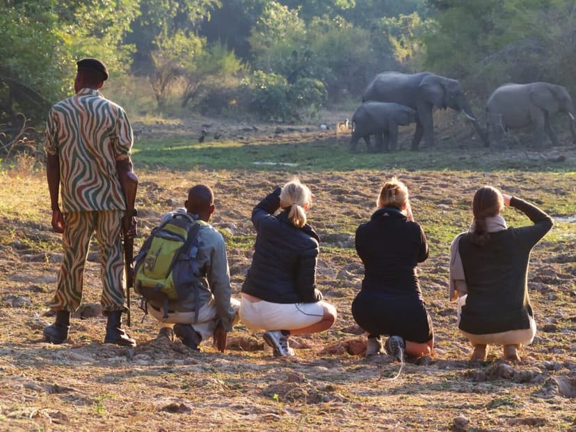 Ultimate Walking Safari - South Luangwa National Park, Luangwa River Valley