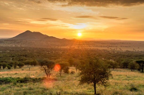 Migration Highlights — Breathtaking African landscape