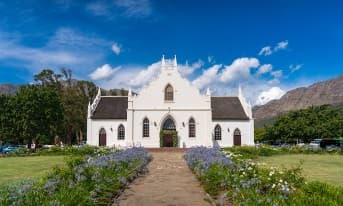 Half Day Cape Town Top Wine Cellar &  Wine Tasting