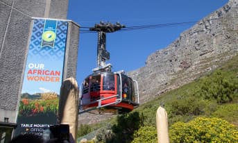 Table Mountain, Boulder's Penguins & Cape Point Private Tour from Cape Town