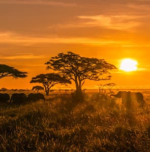 Top African Safari Destinations, Tanzania